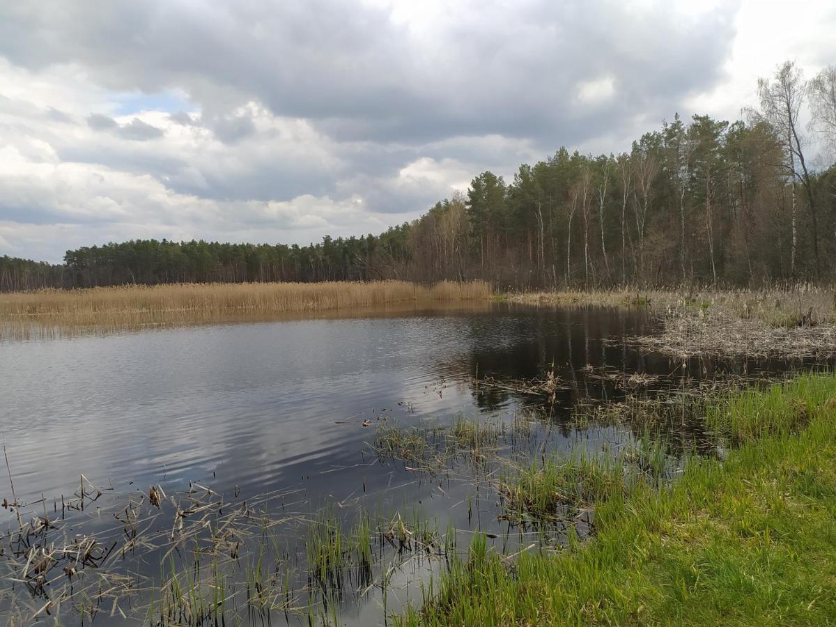 Вилла Gajowka Zlobek Zlobek  Экстерьер фото