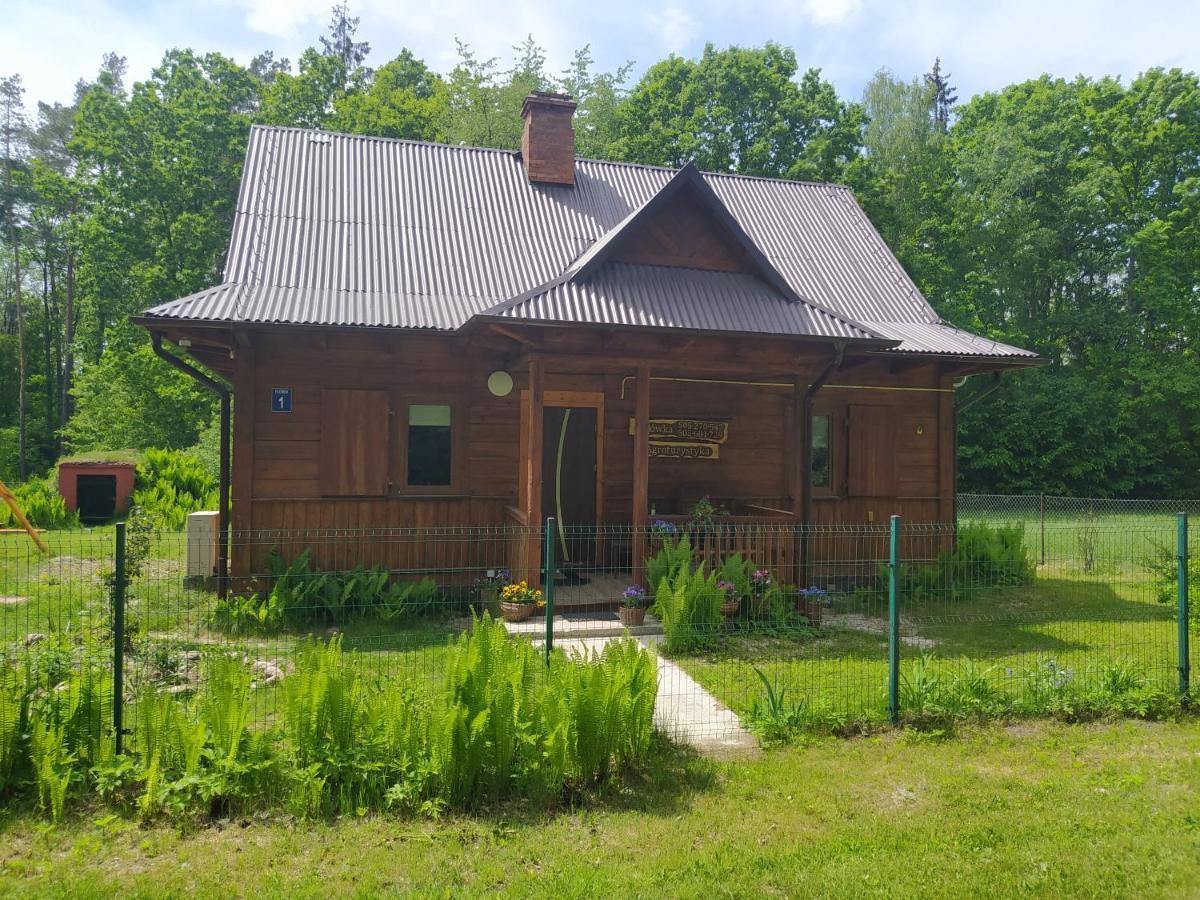 Вилла Gajowka Zlobek Zlobek  Экстерьер фото